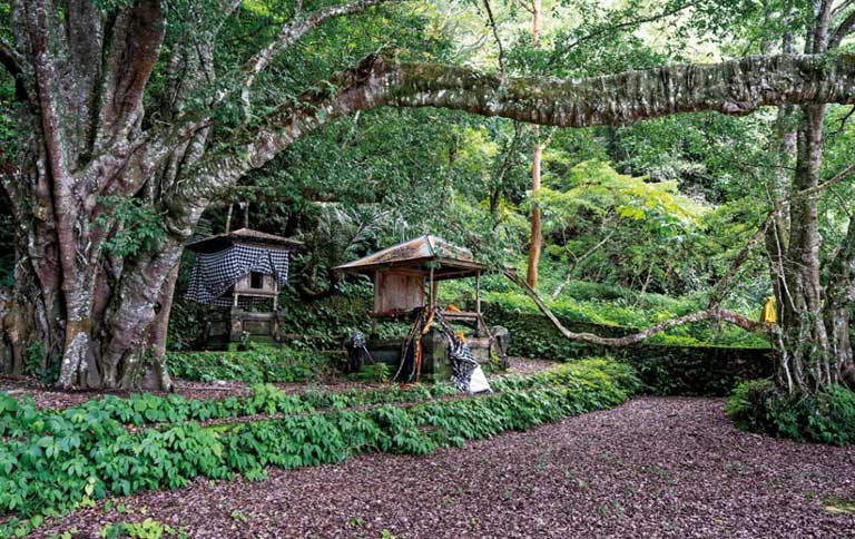 Trunyan Village